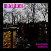 Mycelium - Disassemble Reconstruct